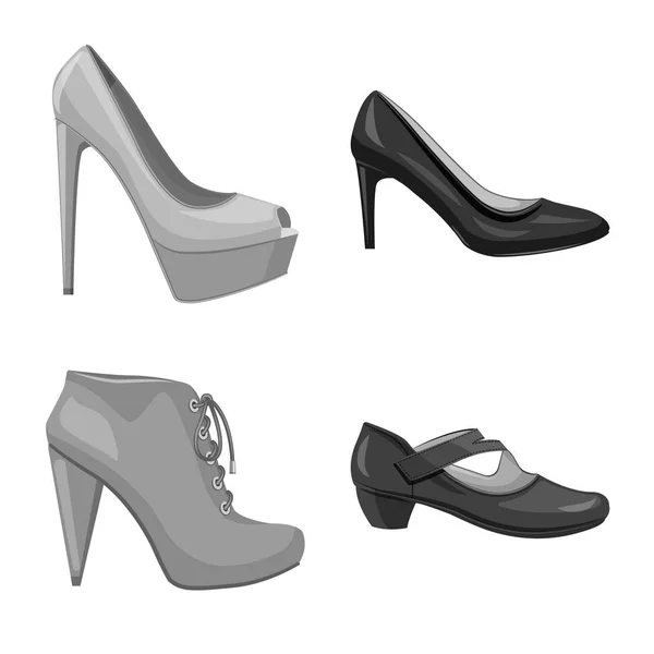 Objeto aislado de calzado y signo de mujer. Conjunto de calzado y pie stock vector ilustración . — Vector de stock