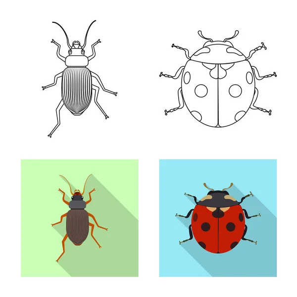 Objeto aislado de insecto y signo de mosca. Colección de insectos y símbolo de stock de elementos para la web . — Vector de stock