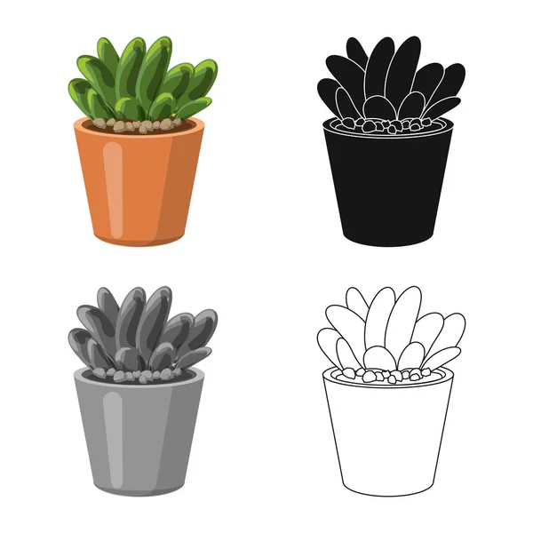 Illustration vectorielle du cactus et signe du pot. Ensemble de cactus et de cactus symbole stock pour le web . — Image vectorielle