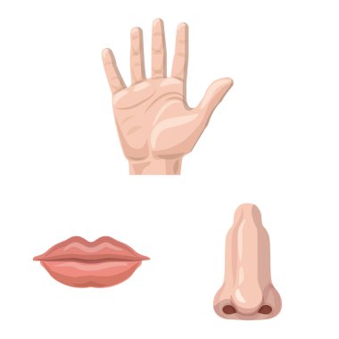 İnsan ve yarım simge vektör tasarımı. Kadın hisse senedi vektör çizim ve insan kümesi.