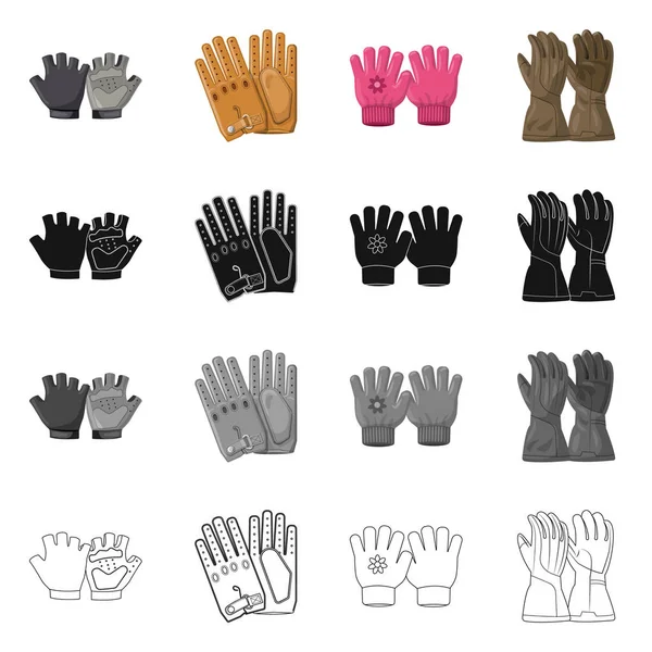 Векторная иллюстрация перчаток и зимнего логотипа. Набор векторной иллюстрации перчаток и оборудования . — стоковый вектор
