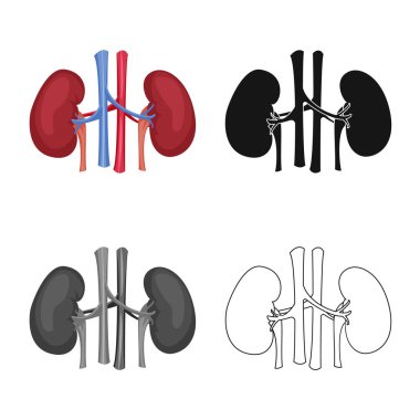 Vücut ve insan simge vektör çizimi. Vücut ve web için tıbbi hisse senedi simgesi.