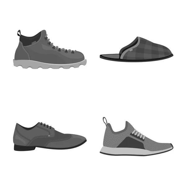 신발 및 신발 아이콘의 고립 된 개체입니다. 주식에 대 한 구두와 발 벡터 아이콘의 컬렉션. — 스톡 벡터