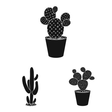 Kaktüs ve pot simge vektör Illustration. Kaktüs ve kaktüsler koleksiyonu stok web simgesi.