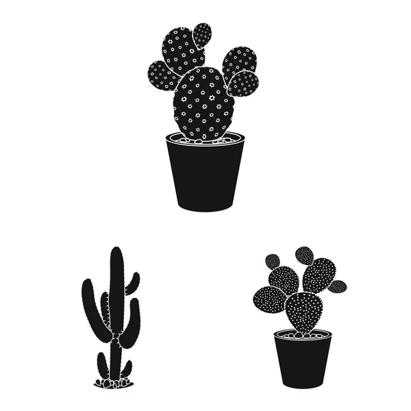 Ilustración vectorial de cactus y pote símbolo. Colección de cactus y cactus símbolo de stock para web . — Archivo Imágenes Vectoriales