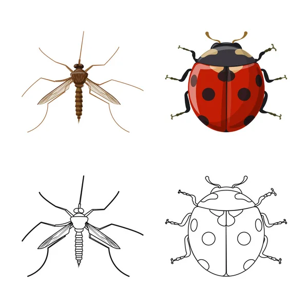 Vectorillustratie van insecten en vliegen teken. Collectie van insect en element voorraad vectorillustratie. — Stockvector