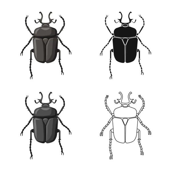 昆虫とフライのシンボルのベクター デザイン。Web 昆虫と要素株式記号のセット. — ストックベクタ