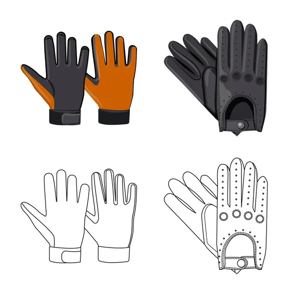 Vektorový design rukavice a zimní znamení. Sada rukavic a zařízení burzovní symbol pro web. — Stockový vektor