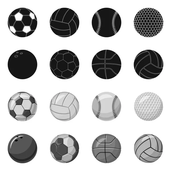 Objeto aislado de deporte y símbolo de pelota. Conjunto de deporte y símbolo de stock atlético para web . — Vector de stock