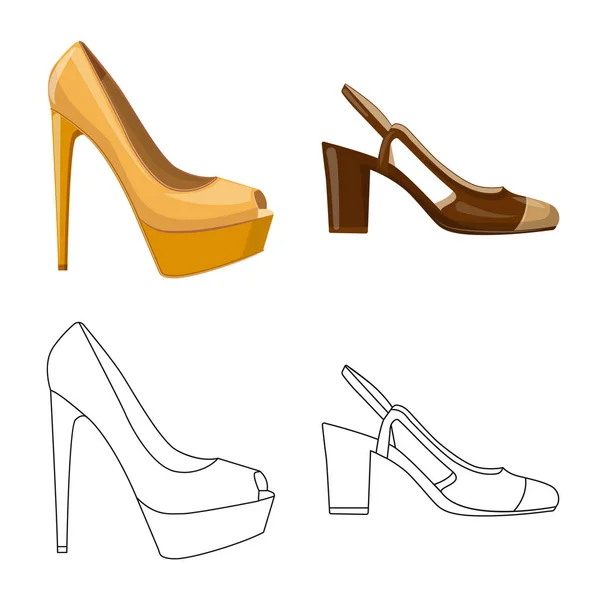 Diseño vectorial de calzado y mujer icono. Colección de calzado y pie símbolo de stock para la web . — Vector de stock