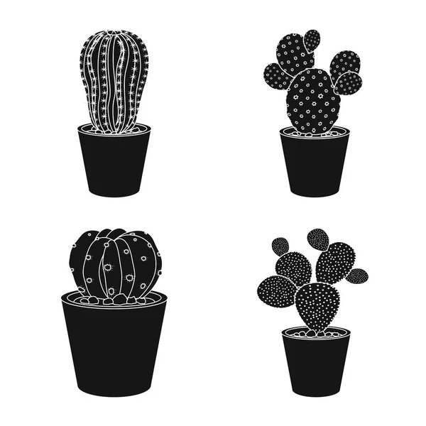 Векторная иллюстрация кактуса и логотипа горшка. Коллекция векторных иллюстраций кактусов и кактусов . — стоковый вектор