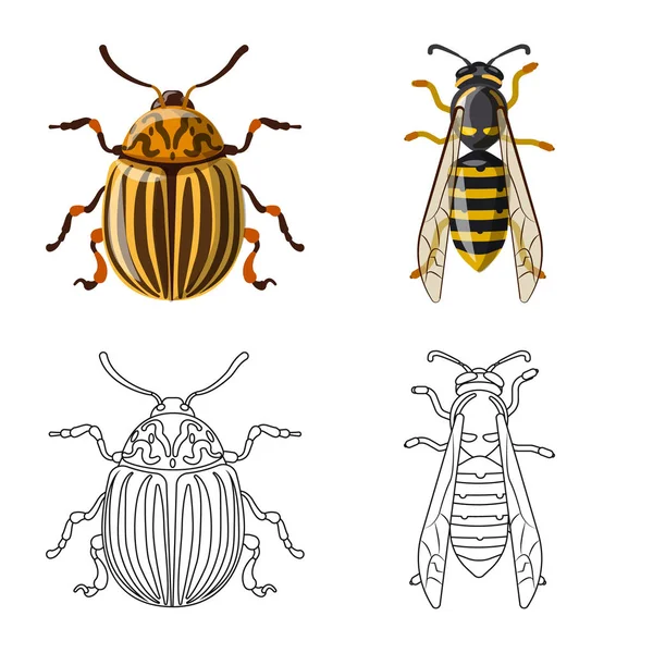 Vektordesign von Insekten- und Fliegenzeichen. Sammlung von Insekten- und Elementlagersymbolen für das Netz. — Stockvektor