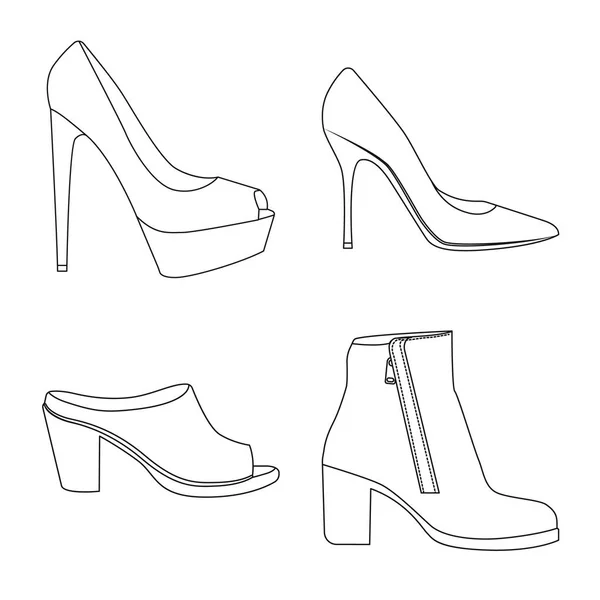 Projeto vetorial de calçado e sinal de mulher. Conjunto de calçado e símbolo de estoque de pé de web . — Vetor de Stock