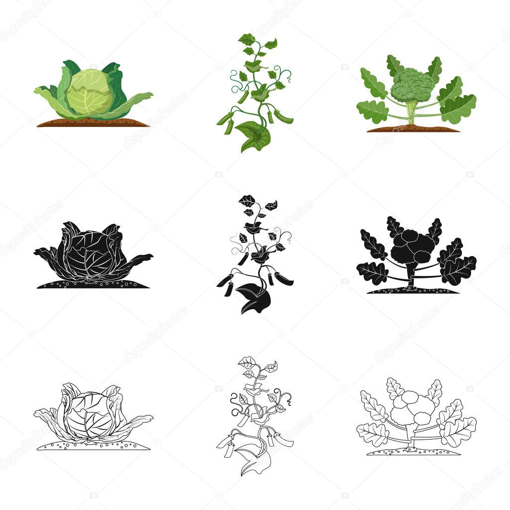 Isolated object of greenhouse and plant sign. Collection of greenhouse and garden vector icon for stock.