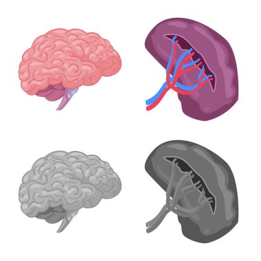 Vücut ve insan logo vektör tasarımı. Vücut ve web için tıbbi hisse senedi simgesi toplama.