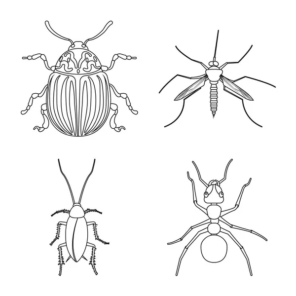 Diseño vectorial del símbolo de insectos y moscas. Colección de insectos y símbolo de stock de elementos para la web . — Vector de stock