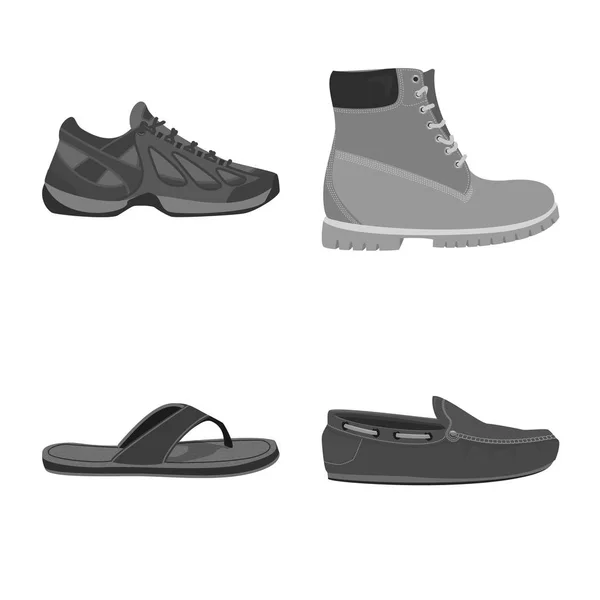 Isolated object of shoe and footwear icon. Collection of shoe and foot vector icon for stock. — Stock Vector