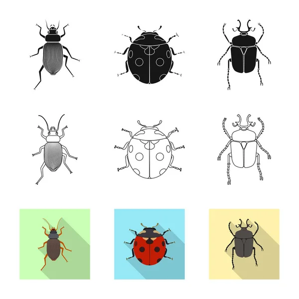 Vector ontwerp van insecten en vliegen symbool. Set insect en element vector pictogram voor voorraad. — Stockvector