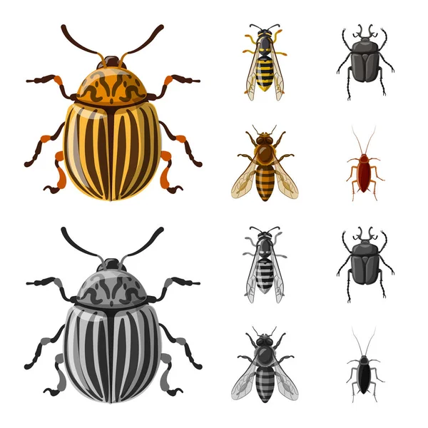 Vektorové ilustrace hmyzu a překrýt symbolu. Sada hmyzu a prvek vektorové ikony pro stock. — Stockový vektor