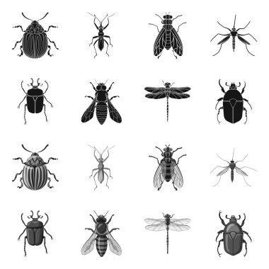 Böcek ve sinek simge vektör Illustration. Böcek ve öğe hisse senedi simgesi için web topluluğu.