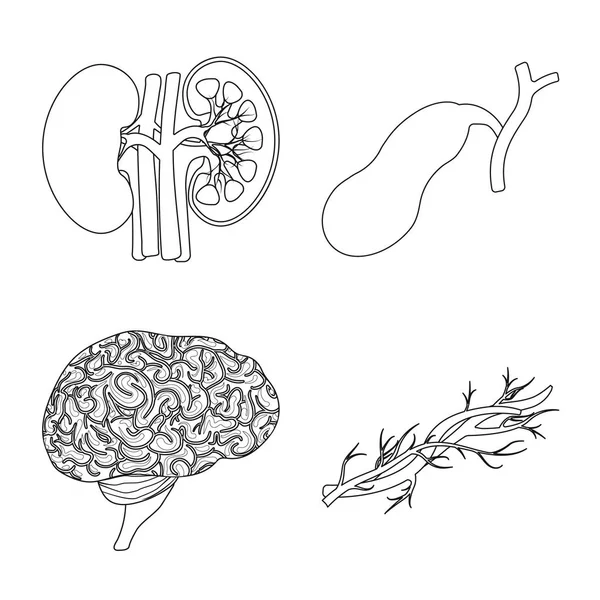 Vektordesign des Körpers und des menschlichen Logos. Set von Körper und medizinischem Vektor-Symbol für Aktien. — Stockvektor