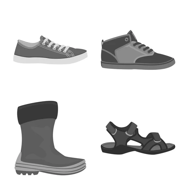 Objeto aislado de zapato y calzado icono. Colección de zapatos y pies stock vector ilustración . — Archivo Imágenes Vectoriales