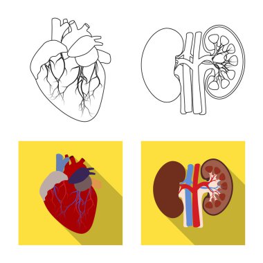 Vücut ve insan simge vektör çizimi. Vücut ve hisse senedi için tıbbi vektör ikon koleksiyonu.