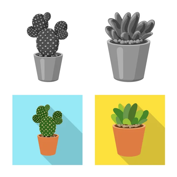 Isolerade objekt av kaktus och potten tecken. Uppsättning cactus och kaktusar lager vektorillustration. — Stock vektor