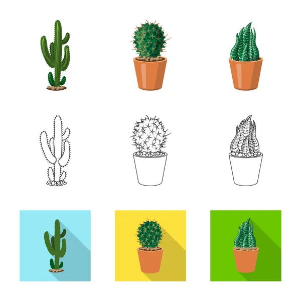 Isolerade objekt av kaktus och potten tecken. Samling av kaktus och kaktusar lager vektorillustration. — Stock vektor