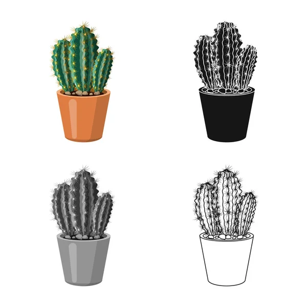 Geïsoleerde object van cactus en pot logo. Set cactus en cactussen voorraad vectorillustratie. — Stockvector