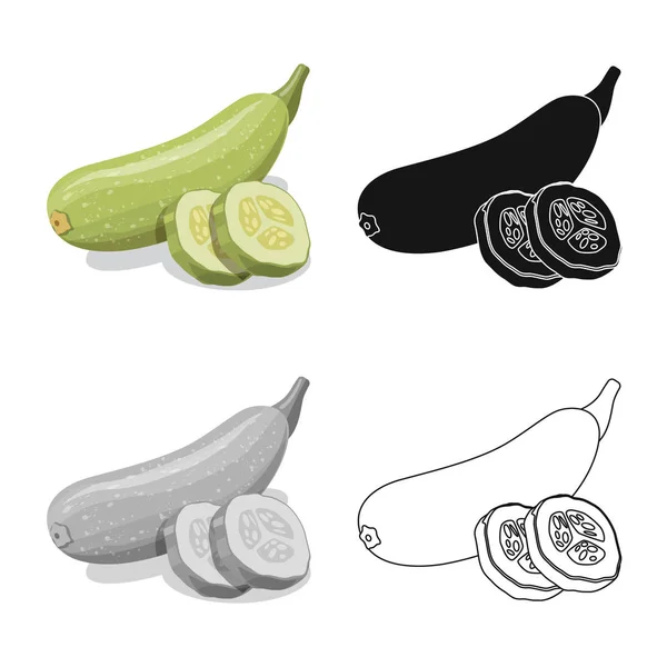 Isolierte Objekt von Gemüse und Obst Symbol. Set von pflanzlichen und vegetarischen Aktiensymbolen für das Web. — Stockvektor