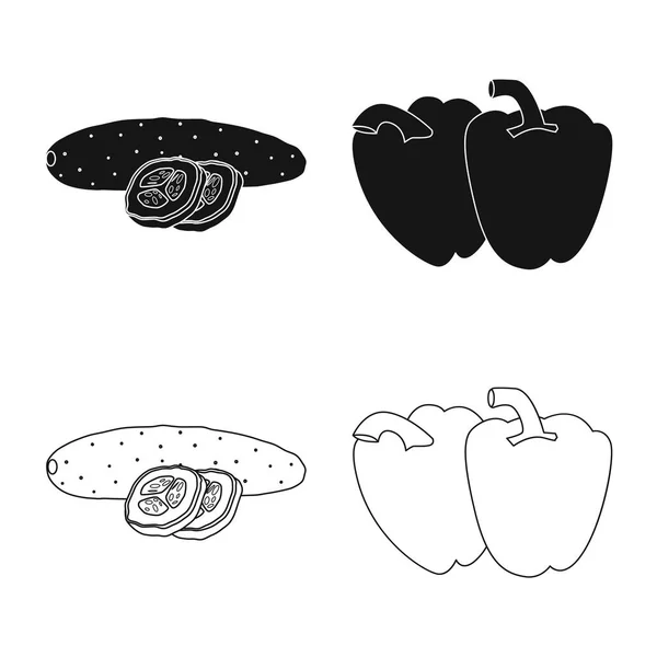 Conception vectorielle de légumes et fruits signe. Ensemble d'illustration vectorielle de légumes et de bouillon végétarien . — Image vectorielle
