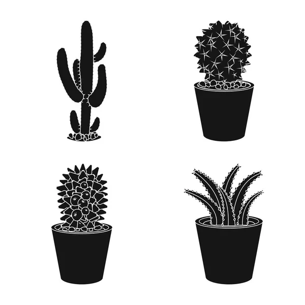 Diseño vectorial de cactus y maceta. Conjunto de cactus y cactus vector icono para stock . — Archivo Imágenes Vectoriales