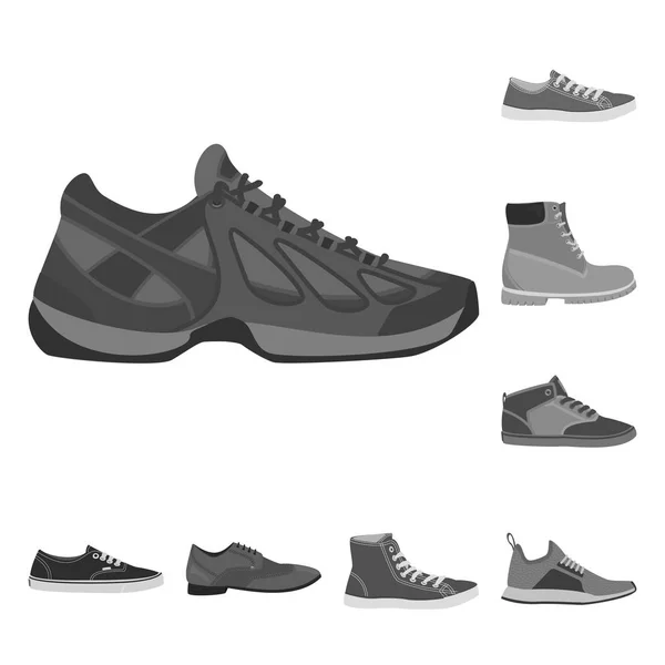 Illustrazione vettoriale dell'icona scarpa e calzature. Set di scarpe e icona vettoriale del piede per magazzino . — Vettoriale Stock