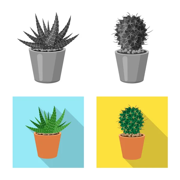 Kaktusz és a pot szimbólum izolált tárgya. Kaktuszok és cactus gyűjtemény állomány szimbólum, web. — Stock Vector