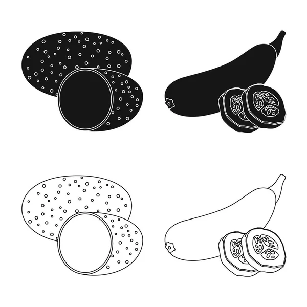 Illustration vectorielle du symbole des légumes et fruits. Ensemble d'illustration vectorielle de légumes et de bouillon végétarien . — Image vectorielle