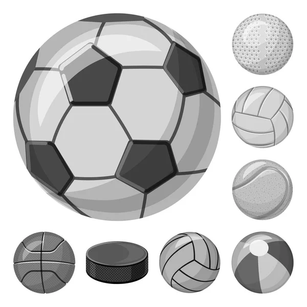 Изолированный объект спорта и знак мяча. Коллекция спортивных и спортивных векторных иллюстраций . — стоковый вектор