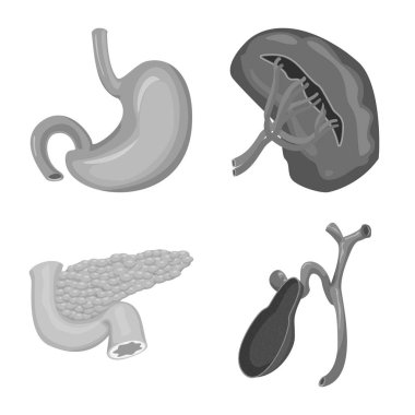 Vücut ve insan simge vektör çizimi. Vücut ve tıbbi hisse senedi vektör çizim koleksiyonu.