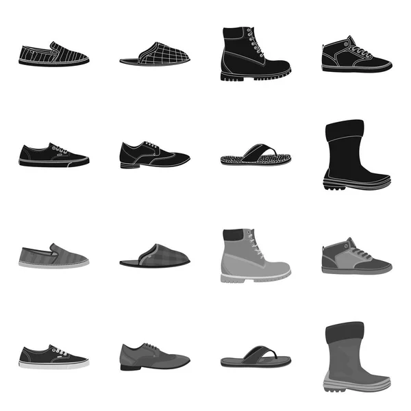 Isolerade objekt av sko och skodon-ikonen. Ställ in i skon och fot vektor ikonen för lager. — Stock vektor