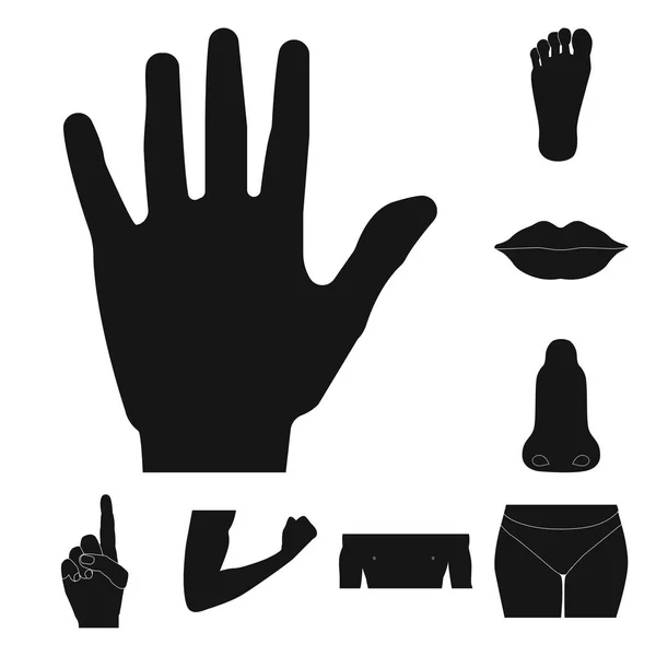 Vektorillustration des Symbols Mensch und Teil. Set von menschlichen und weiblichen Aktiensymbolen für das Web. — Stockvektor