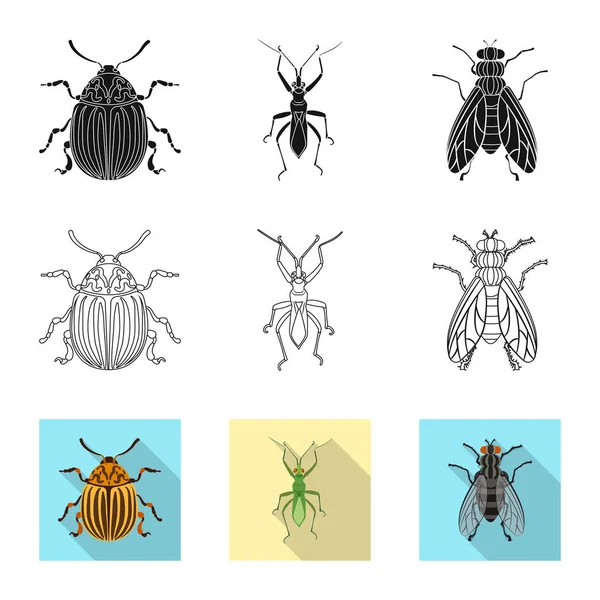 Ilustración vectorial del icono de insectos y moscas. Colección de insectos y elemento vector icono para stock . — Vector de stock