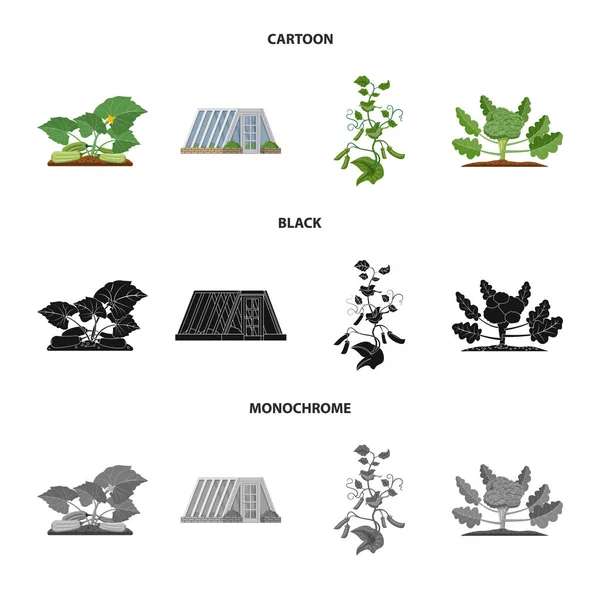 Ilustración vectorial del logotipo de invernadero y planta. Conjunto de ilustración vectorial de invernadero y jardín . — Archivo Imágenes Vectoriales