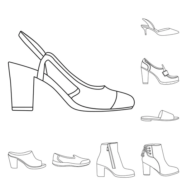 鞋子和妇女标志的向量例证。网站的鞋类和脚股票符号集. — 图库矢量图片