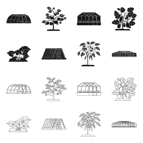Projekt wektor logo cieplarnianych i roślin. Zestaw cieplarnianych i ogród Stockowa ilustracja wektorowa. — Wektor stockowy
