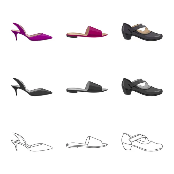 Illustration vectorielle de chaussures et icône femme. Ensemble de chaussures et icône de vecteur de pied pour stock . — Image vectorielle