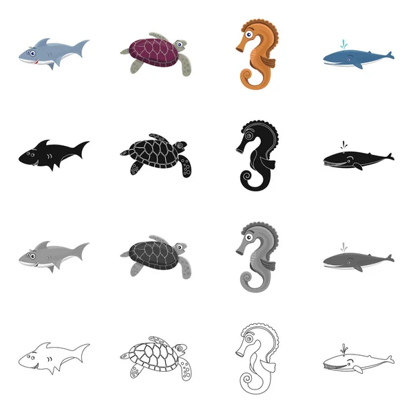 Isolated object of sea and animal logo. Collection of sea and marine vector icon for stock. — Stock Vector