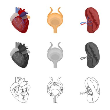 Vücut ve insan logo vektör tasarımı. Vücut ve web için tıbbi hisse senedi simgesi.