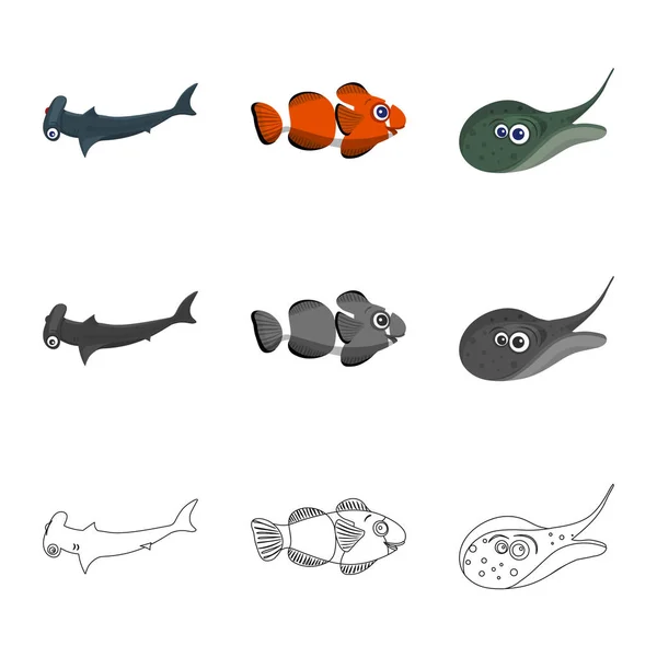 Vektor-Illustration von Meer und Tier-Symbol. Sammlung von Meeres- und Meeresvektorsymbolen für Aktien. — Stockvektor