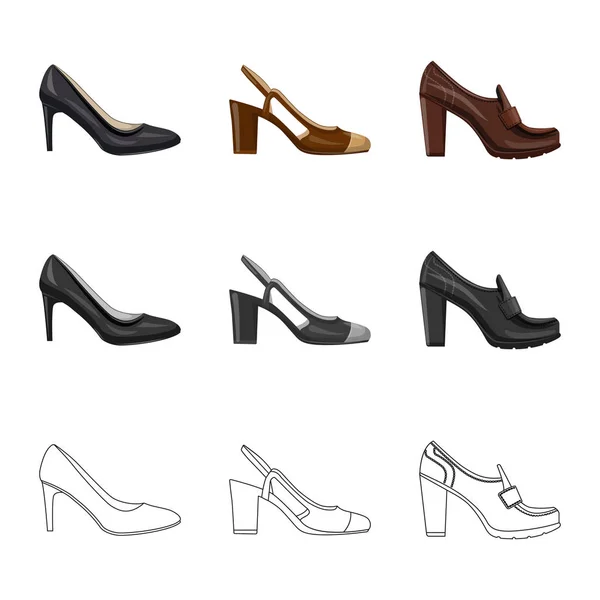 Ilustração vetorial de calçado e símbolo de mulher. Conjunto de calçado e símbolo de estoque de pé de web . —  Vetores de Stock