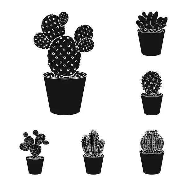 Vector ontwerp van cactus en pot symbool. Set cactus en cactussen aandelensymbool voor web. — Stockvector